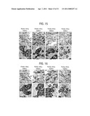 BLOCK COMPOSITES AND IMPACT MODIFIED COMPOSITIONS diagram and image