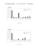 Gene overexpressed in cancer diagram and image