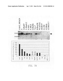 Gene overexpressed in cancer diagram and image