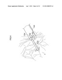 OPTICAL STRUCTURE OBSERVATION APPARATUS, STRUCTURE INFORMATION PROCESSING METHOD OF THE SAME AND ENDOSCOPE APPARATUS INCLUDING OPTICAL STRUCTURE OBSERVATION APPARATUS diagram and image