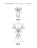 SEAL ANCHOR WITH NON-PARALLEL LUMENS diagram and image