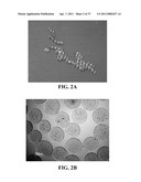 BIORESORBABLE EMBOLIZATION MICROSPHERES diagram and image