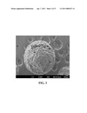 BIORESORBABLE EMBOLIZATION MICROSPHERES diagram and image