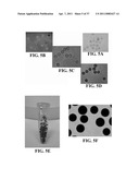 BIORESORBABLE EMBOLIZATION MICROSPHERES diagram and image