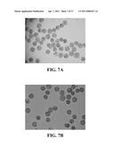 BIORESORBABLE EMBOLIZATION MICROSPHERES diagram and image