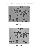 BIORESORBABLE EMBOLIZATION MICROSPHERES diagram and image