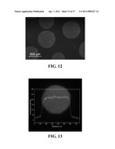 BIORESORBABLE EMBOLIZATION MICROSPHERES diagram and image