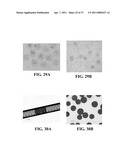 BIORESORBABLE EMBOLIZATION MICROSPHERES diagram and image