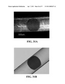 BIORESORBABLE EMBOLIZATION MICROSPHERES diagram and image