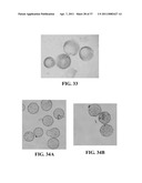 BIORESORBABLE EMBOLIZATION MICROSPHERES diagram and image