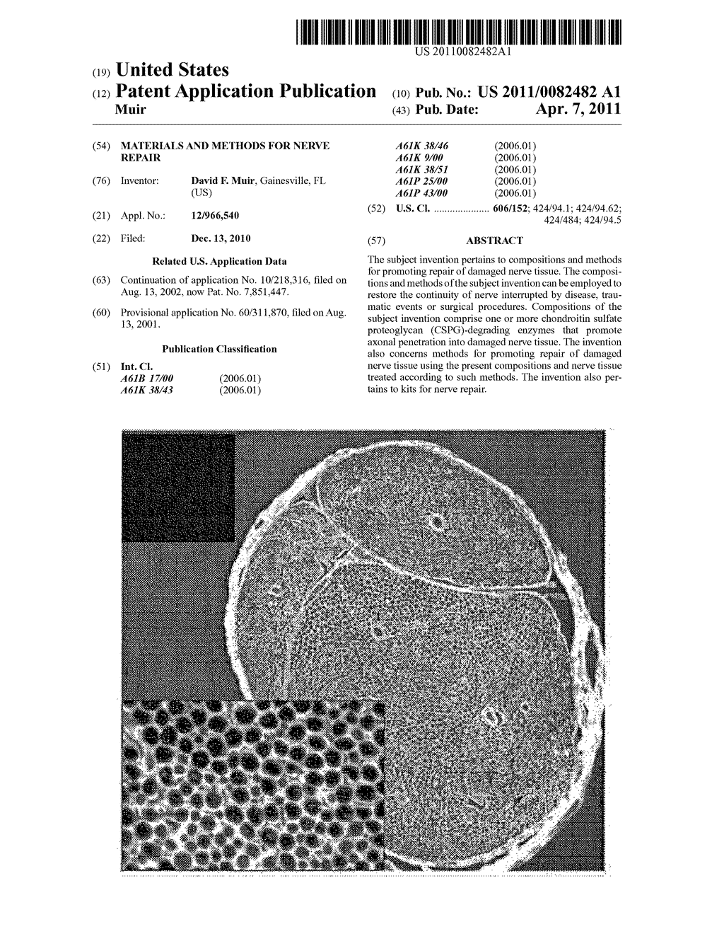 Materials and Methods for Nerve Repair - diagram, schematic, and image 01