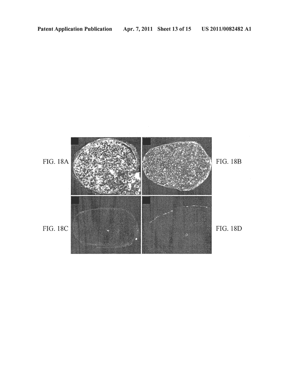 Materials and Methods for Nerve Repair - diagram, schematic, and image 14