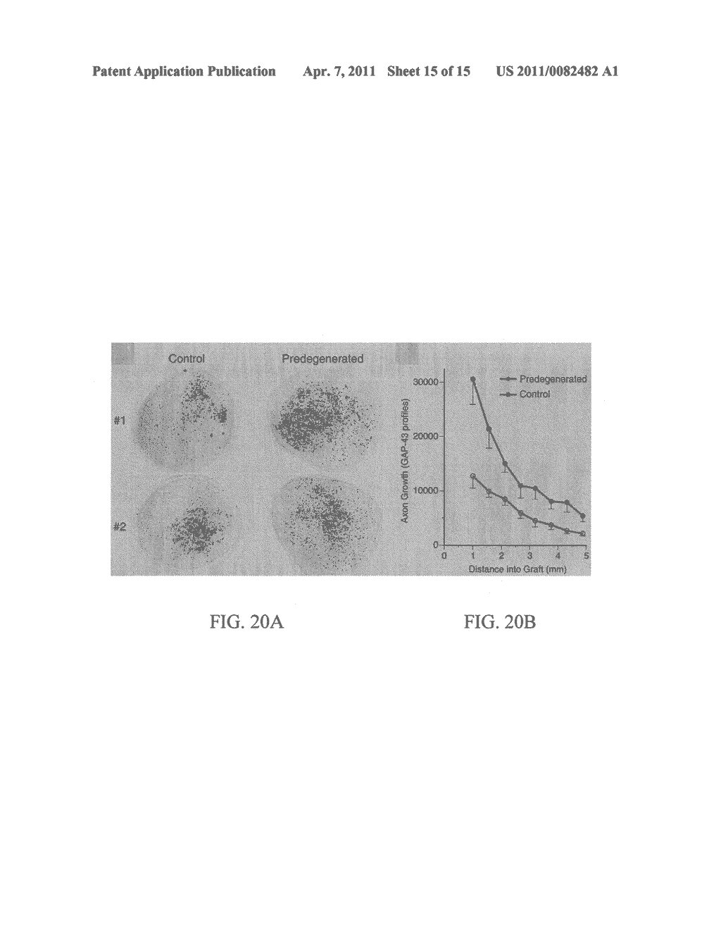 Materials and Methods for Nerve Repair - diagram, schematic, and image 16