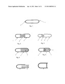 CAPSULE, METHOD FOR PREPARING A CAPSULE, METHOD FOR PACKING BIOLOGICAL MATERIAL OF A VEGETATION SOURCE IN A CAPSULE, CULTURE CULTIVATION METHODS, AND CAPSULE USE diagram and image