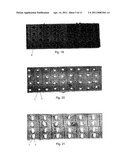 CAPSULE, METHOD FOR PREPARING A CAPSULE, METHOD FOR PACKING BIOLOGICAL MATERIAL OF A VEGETATION SOURCE IN A CAPSULE, CULTURE CULTIVATION METHODS, AND CAPSULE USE diagram and image