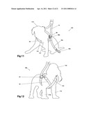 Double loop auto-adjust pet restraint device diagram and image