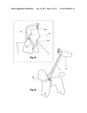 Double loop auto-adjust pet restraint device diagram and image