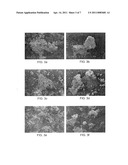 COLLOIDAL PLANT POWDER/EXTRACT ENCAPSULATION WITH PECTIN-PROTEIN COACERVATE GELS diagram and image