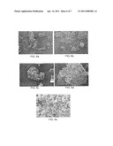 COLLOIDAL PLANT POWDER/EXTRACT ENCAPSULATION WITH PECTIN-PROTEIN COACERVATE GELS diagram and image