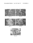 COLLOIDAL PLANT POWDER/EXTRACT ENCAPSULATION WITH PECTIN-PROTEIN COACERVATE GELS diagram and image