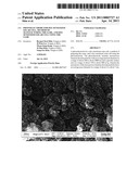 PHOTOELECTRODE FOR DYE SENSITIZED SOLAR CELL, METHOD OF MANUFACTURING THE SAME, AND DYE SENSITIZED SOLAR CELL USING THE SAME diagram and image