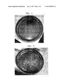 METHOD AND APPARATUS FOR PRODUCING CARBOHYDRATES AND OXYGEN USING CIRCULARLY POLARIZED ROTATING ELECTROMAGNETIC WAVE diagram and image