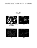 POWDER MATERIAL, ELECTRODE STRUCTURE USING THE POWDER MATERIAL, AND ENERGY STORAGE DEVICE HAVING THE ELECTRODE STRUCTURE diagram and image