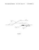 WEATHER RESPONSIVE TREADLE LOCKING MEANS FOR POWER GENERATION SYSTEM diagram and image