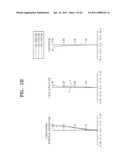 ZOOM LENS SYSTEM AND IMAGE PICKUP APPARATUS diagram and image