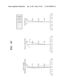 ZOOM LENS SYSTEM AND IMAGE PICKUP APPARATUS diagram and image