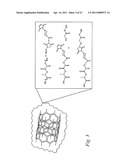 NANOTUBES FOR CANCER THERAPY AND DIAGNOSTICS diagram and image