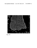 NANOTUBES FOR CANCER THERAPY AND DIAGNOSTICS diagram and image