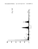 NANOTUBES FOR CANCER THERAPY AND DIAGNOSTICS diagram and image