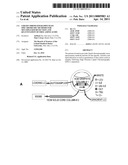 Liquid Chromatography-Mass Spectrometry Methods For Multiplexed Detection and Quantitation of Free Amino Acids diagram and image