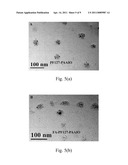 FOLIC ACID-MEDIATED MAGNETIC NANOPARTICLE CLUSTERS FOR COMBINED TARGETING, DIAGNOSIS, AND THERAPY APPLICATIONS diagram and image