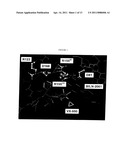 HCV NS3-NS4 Protease Resistance Mutants diagram and image