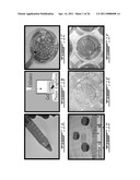 COMPOSITION AND METHOD FOR THE REPAIR AND REGENERATION OF CARTILAGE AND OTHER TISSUES diagram and image