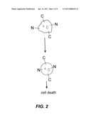 PROTEINASES DESTROY CANCER TUMOR S SOLID STRUCTURE AND KILL CANCER CELLS LOCALLY diagram and image