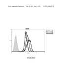 NOVEL ANTIBODIES AGAINST CANCER TARGET BLOCK TUMOR GROWTH, ANGIOGENESIS AND METASTASIS diagram and image