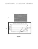 NOVEL ANTIBODIES AGAINST CANCER TARGET BLOCK TUMOR GROWTH, ANGIOGENESIS AND METASTASIS diagram and image