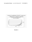 NOVEL ANTIBODIES AGAINST CANCER TARGET BLOCK TUMOR GROWTH, ANGIOGENESIS AND METASTASIS diagram and image