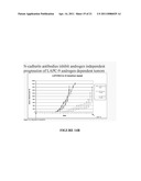 NOVEL ANTIBODIES AGAINST CANCER TARGET BLOCK TUMOR GROWTH, ANGIOGENESIS AND METASTASIS diagram and image