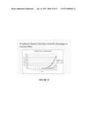 NOVEL ANTIBODIES AGAINST CANCER TARGET BLOCK TUMOR GROWTH, ANGIOGENESIS AND METASTASIS diagram and image