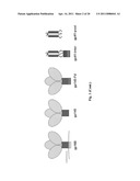 Fusion-Intermediate State of HIV-1 gP41 Targeted by Broadly Neutralizing Antibodies diagram and image