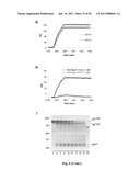 Fusion-Intermediate State of HIV-1 gP41 Targeted by Broadly Neutralizing Antibodies diagram and image