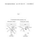 Receptor Modulators diagram and image