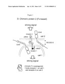 Receptor Modulators diagram and image