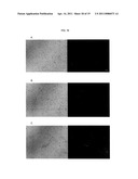 NANOMETER-SIZED PRODRUGS OF NSAIDs diagram and image