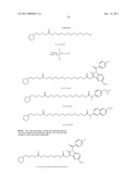 NANOMETER-SIZED PRODRUGS OF NSAIDs diagram and image