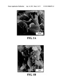FIBROUS ANTIMICROBIAL MATERIALS, STRUCTURES, AND BARRIER APPLICATIONS diagram and image